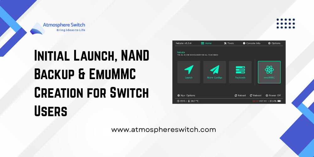 Initial Launch, Nintendo Switch Backup